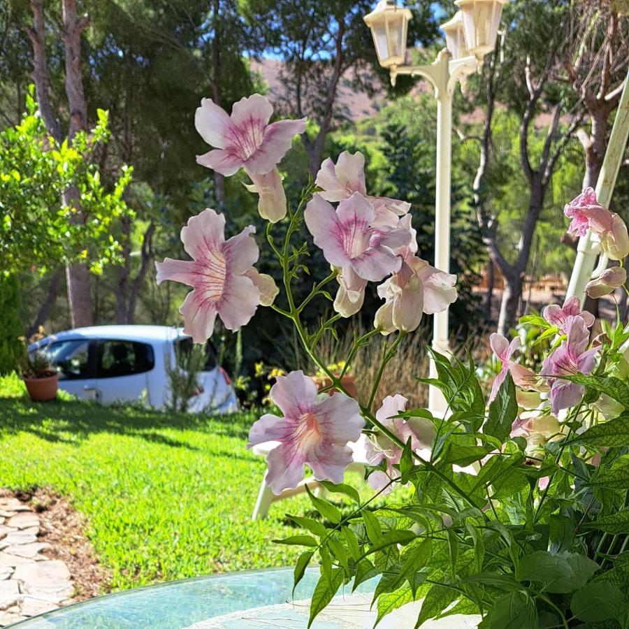 Casa Con Encanto 菲内斯特拉特 外观 照片